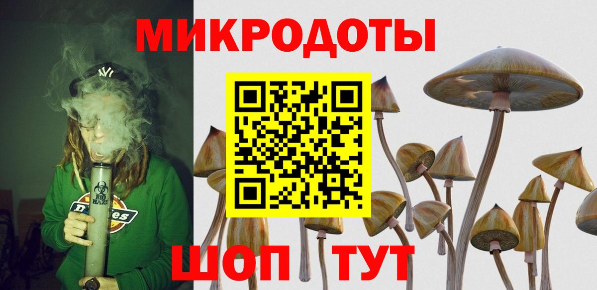Черногорск  Галлюциногенные грибы Psilocybe  Вход с VPN  цены наркотик  Псилоцибиновые грибы Magic Shrooms 